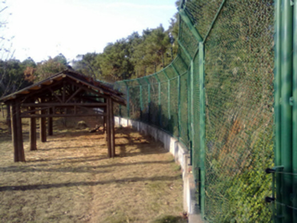 集寧動物園防護柵欄圖片2